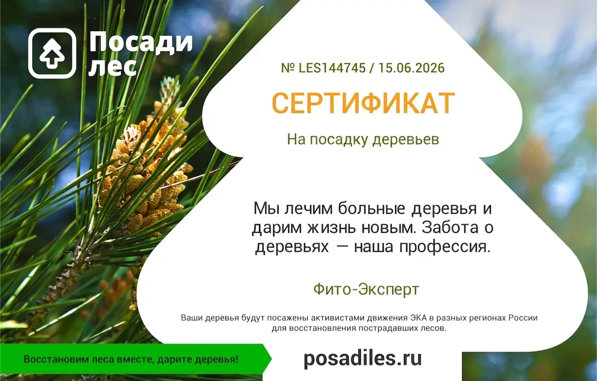 Сертификат лесовосстановления Фито-Эксперт